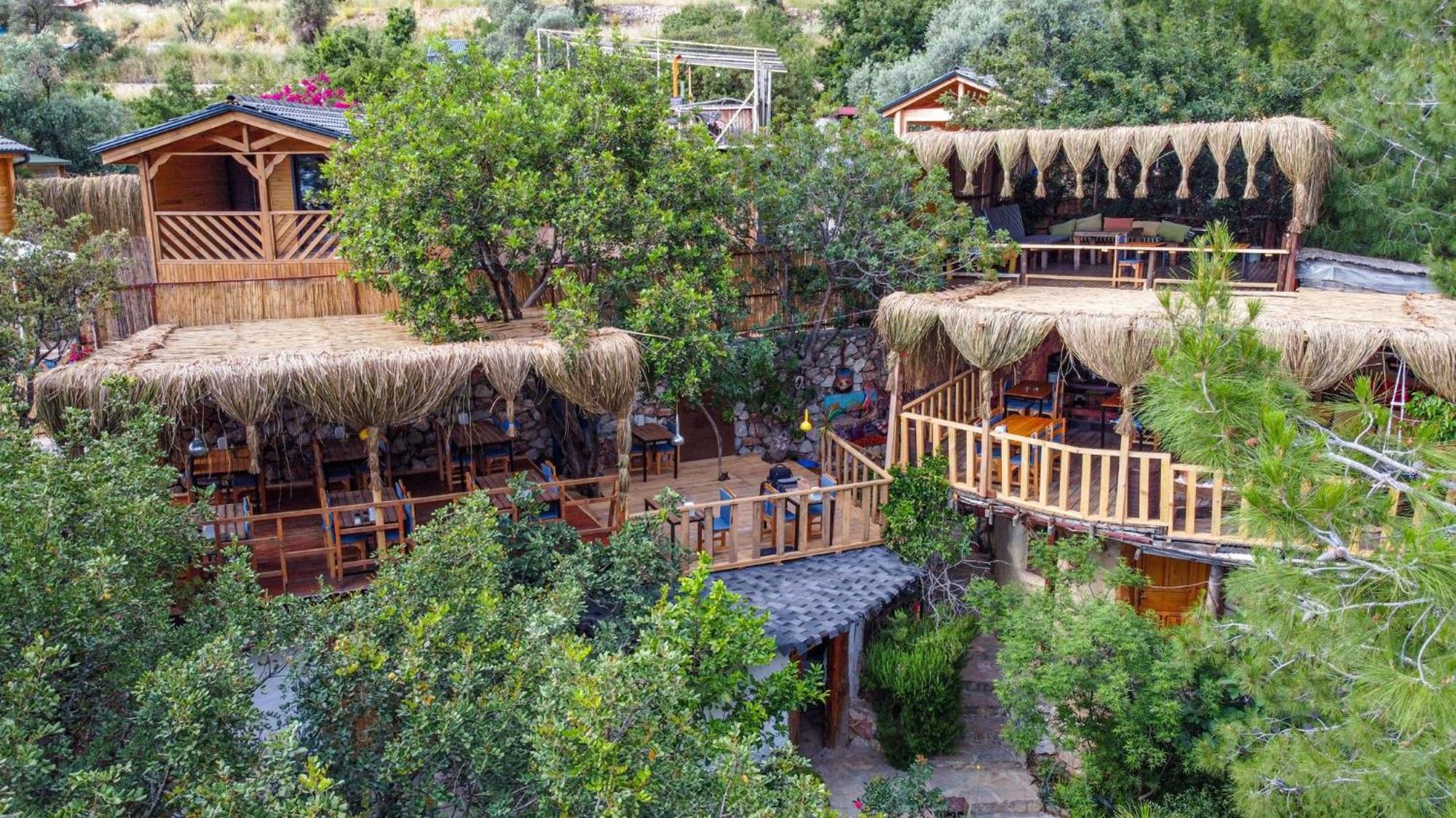 فندق Reflections Camp فاراليا المظهر الخارجي الصورة